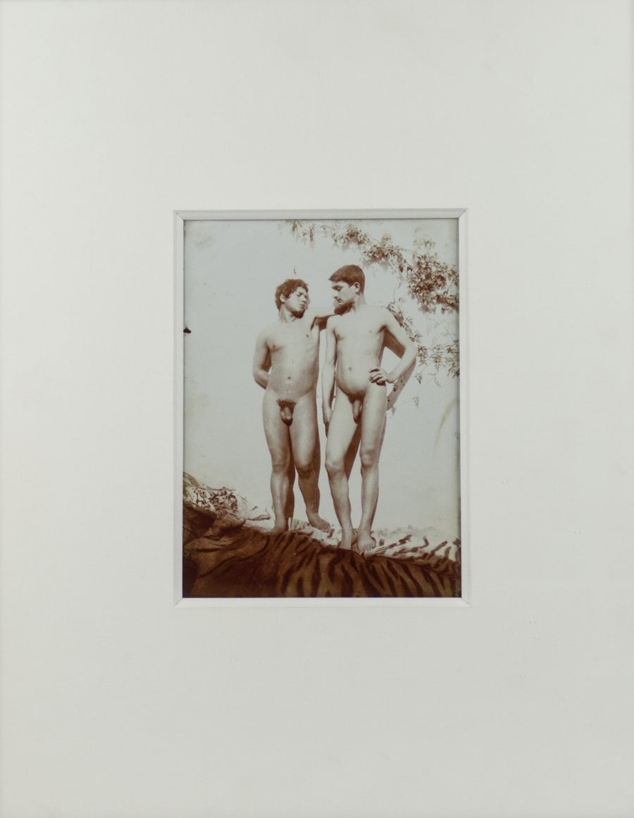 Wilhelm Von Gloeden - Two boys nudes with tiger skin