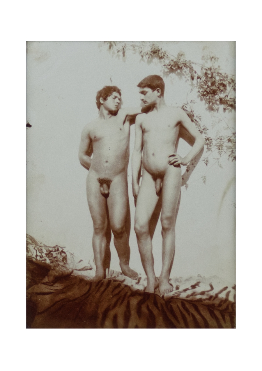 Wilhelm Von Gloeden - Two boys nudes with tiger skin
